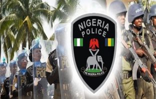 Ogun Police Announce Recovery of Stolen Vehicles, Call For Identification, Claim