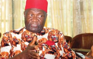 Nwodo kicks, describes new Ohanaeze Ndigbo as rabble-rouses, buccaneers