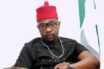 Free Ikenga Ugochinyere now, Court orders police