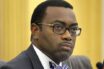 US commends AfDB over Adesina’s allegation independent review