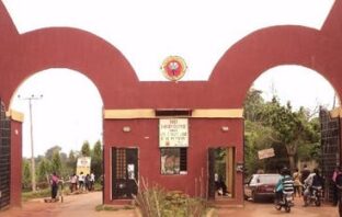 Senate gives nod for upgrade of Auchi poly to university