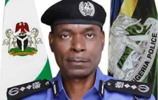 Kaduna killings: IGP orders full enforcement of curfew