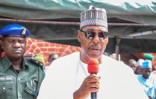 Northern governors fume over attack on Zulum’s convoy