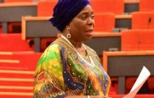 PDP crisis: Olujimi accuses Fayose of taking advantage of her gender