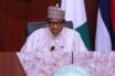 We’re committed to reversing US visa ban — Buhari vows