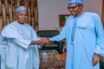 Count Buhari out of Katsina banditry, says gov. Masari