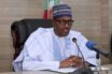 COVID-19: We prepared against food crisis, says Buhari