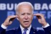 US election: Biden floats transition website